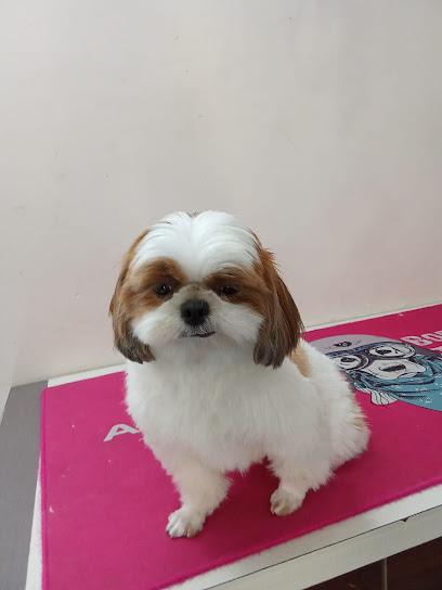 NIVIS Pet Dog Grooming and Boarding