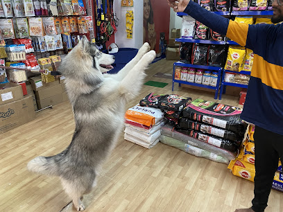Sree Sai pet store Grooming