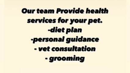 Pets care guru