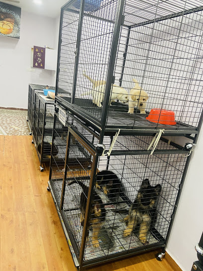 PETSMART [Pet Food ,Pet Grooming, Pet Accessories, Veterinary Clinic ] CHANDANAGAR