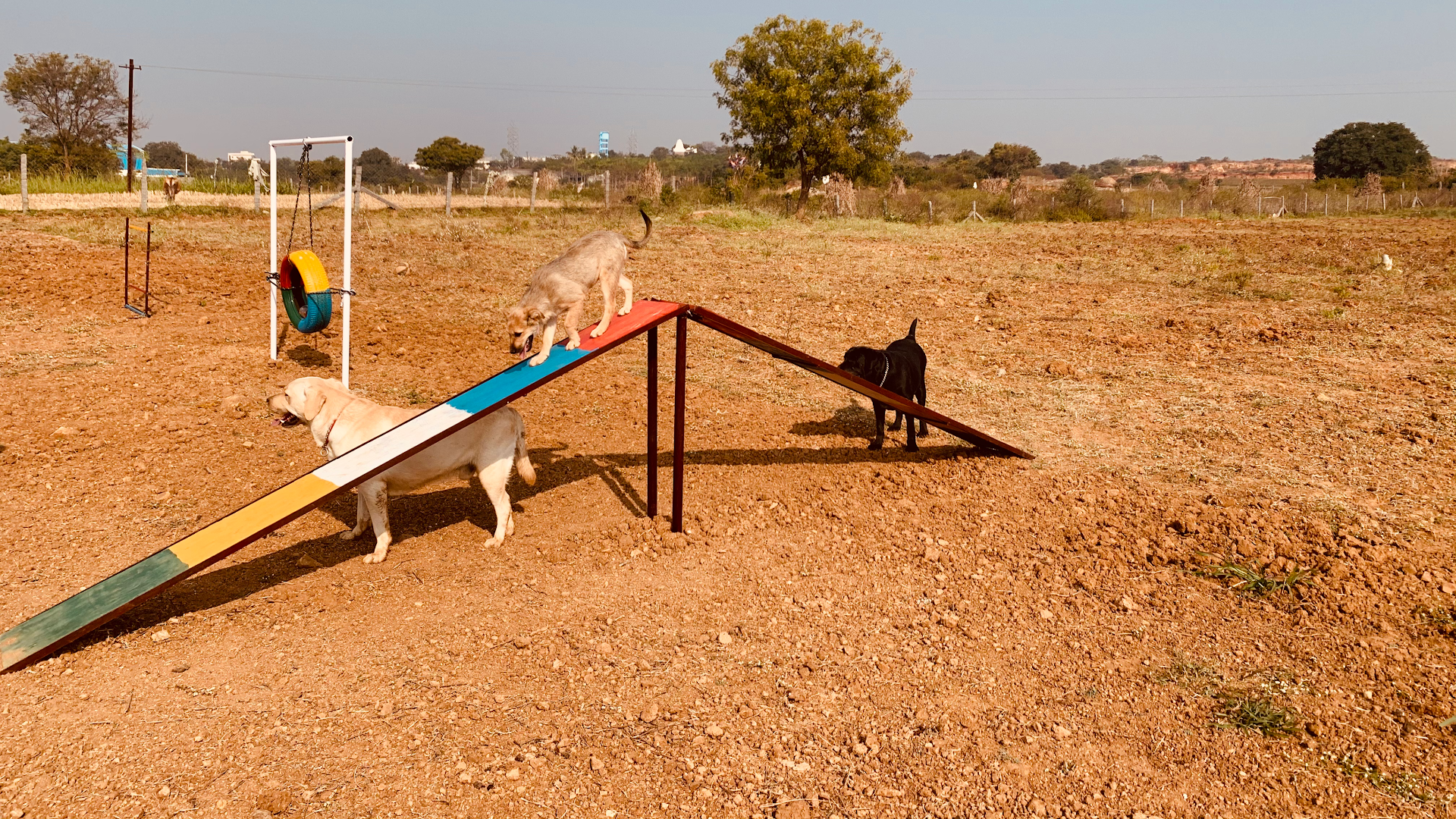 Close To Home Kennels Office feature image