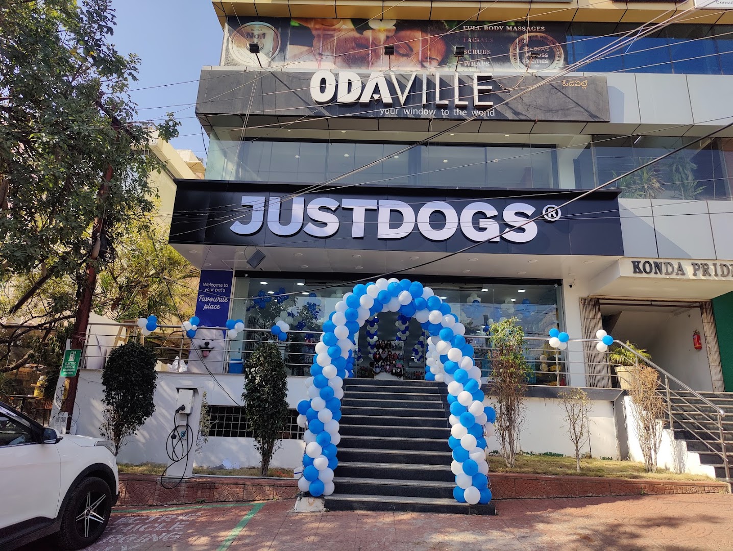 JUSTDOGS - Pet Store & Spa | Jubilee Hills, Hyderabad feature image