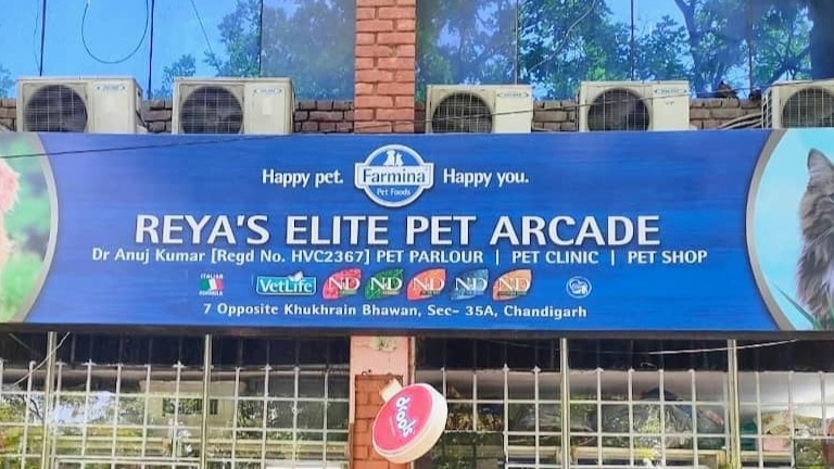 Reya's Elite Pet Arcade feature image