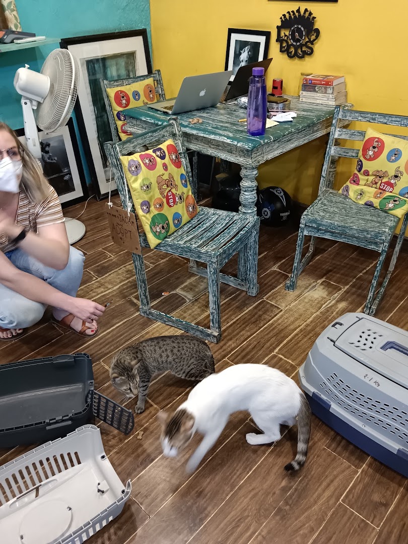 Furry Tales Veterinary Pet Clinic for Dogs and Cats feature image