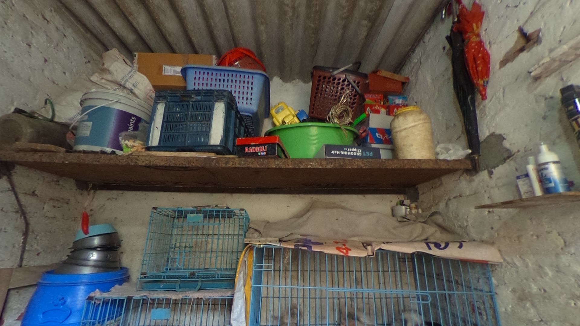 Pet Shop Simikennel feature image