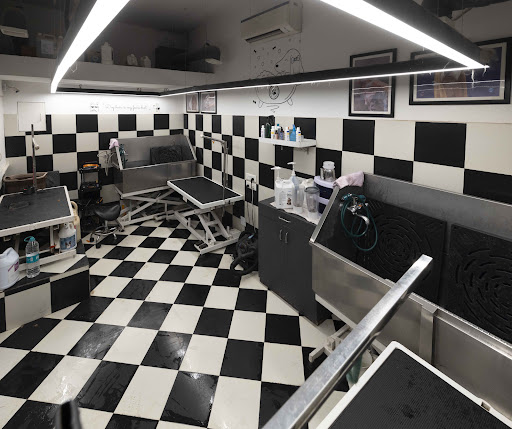 Heads Up For Tails Pet Store & Spa - Vasant Vihar, New Delhi gallery image 7