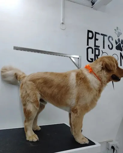 Hao FurEver Pet Spa & Store gallery image 1