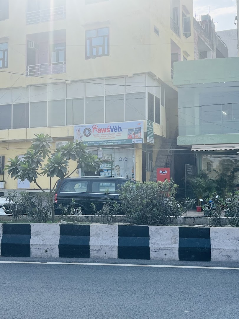 Paws Vet clinic & pet shop feature image