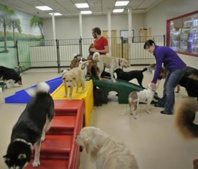 Canine Care Dog & Cats Clinic - Pet Clinic in South Delhi
