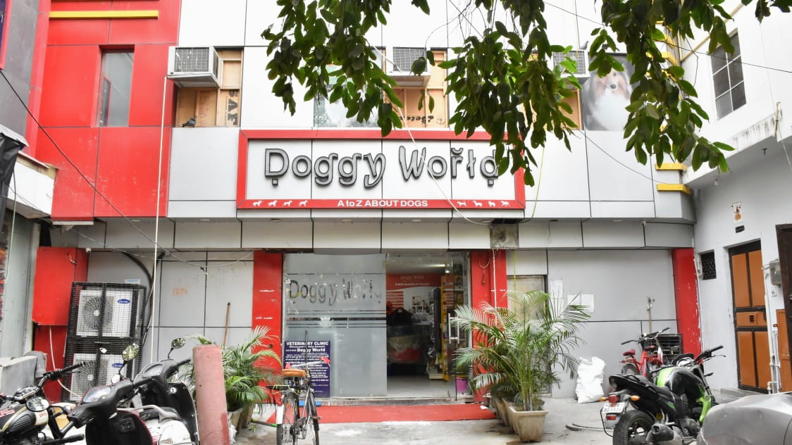 Doggy World Veterinary Hospital Rohini feature image