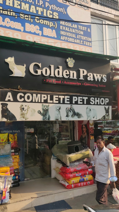 Golden Paws