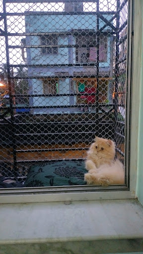 Pawstel by Mou (pet creche) gallery image 2