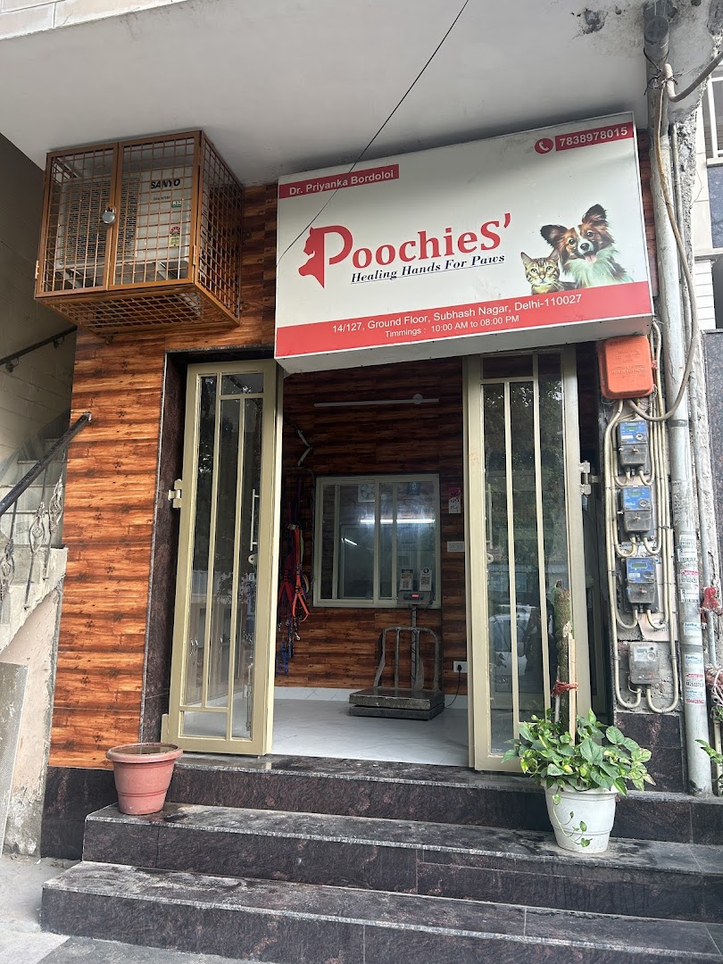 PoochieS' feature image