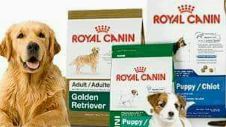 Dollar pet zone feature image
