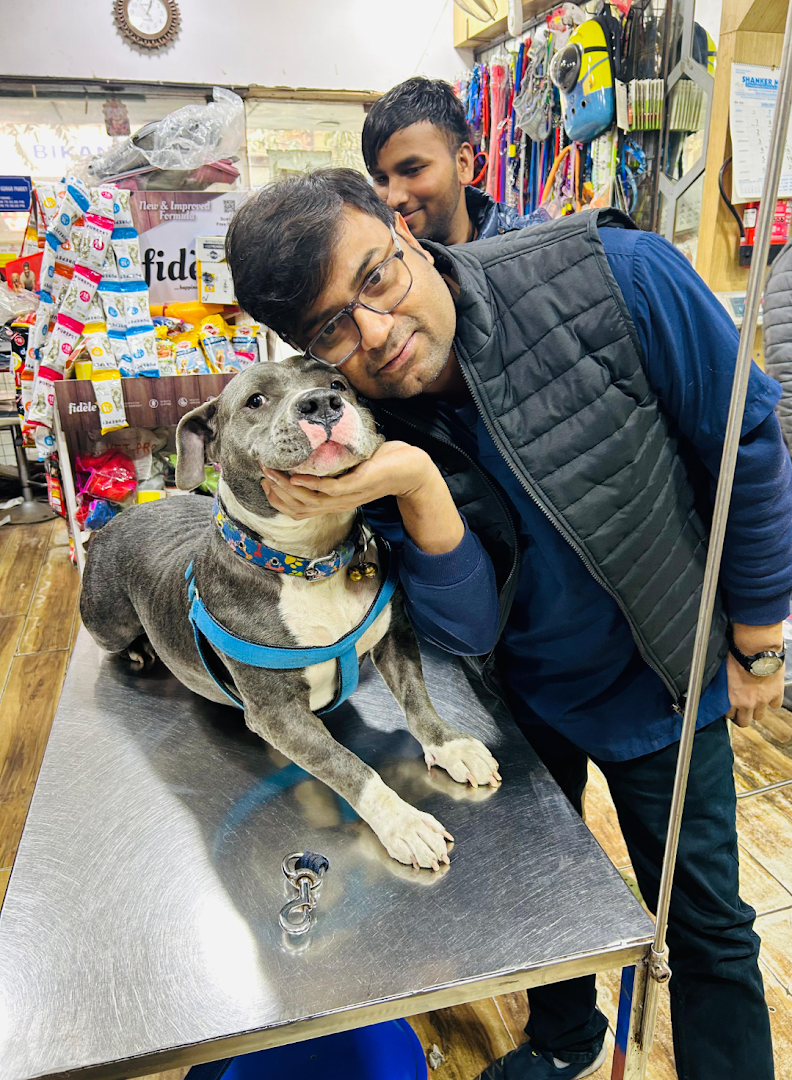 DoWELL Veterinary Clinic feature image