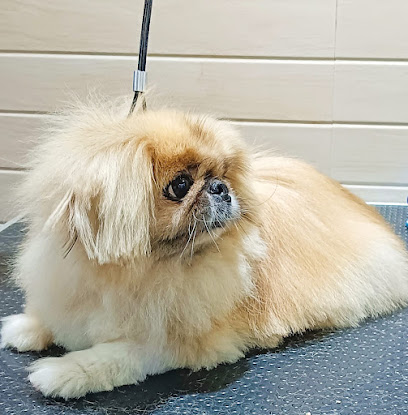 Doggy's स्नान/Snan