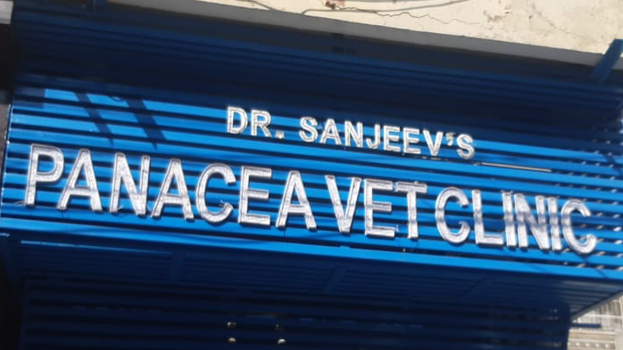 Panacea Veterinary Clinic feature image