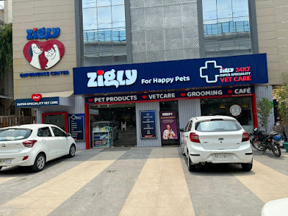 Zigly - Pet Hospital, Pet Grooming & Pet Products | Kailash Colony