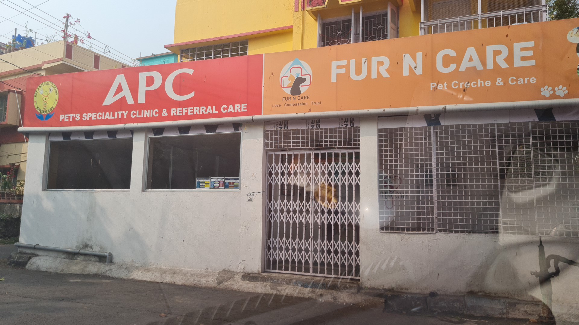 APC PETS CLINIC & REFFERAL CARE (PATULI BRANCH) feature image