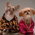 150+ Pet Names for Your Dog, Cat & More - Feature Image