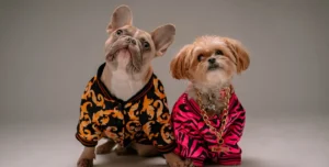 150+ Pet Names for Your Dog, Cat & More