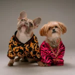 150+ Pet Names: Ideas for Your Dog, Cat & Every Animal