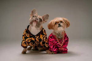 150+ Pet Names: Ideas for Your Dog, Cat & Every Animal