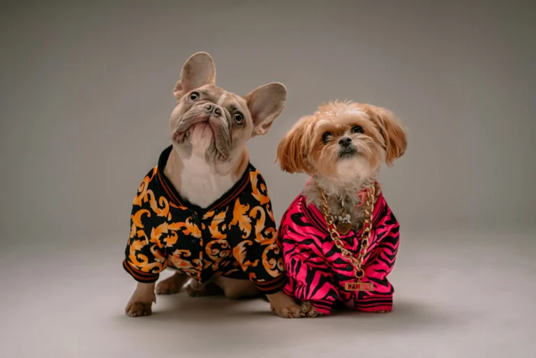 150+ Pet Names: Ideas for Your Dog, Cat & Every Animal